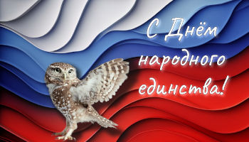 Поздравляем с Днём народного единства!